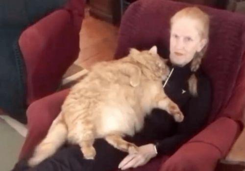 肥猫最新爆料视频,揭秘娱乐圈惊人内幕！